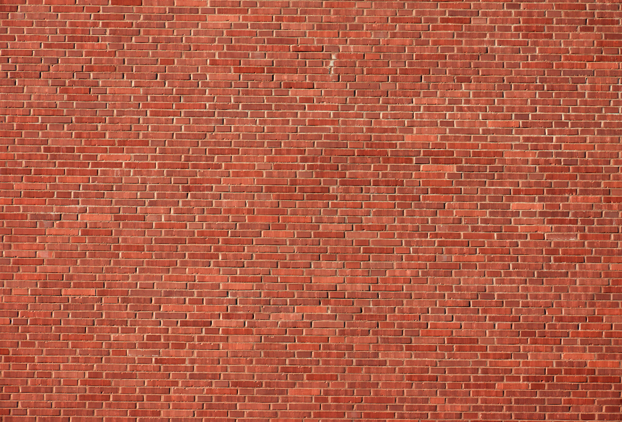 Close-up photo of brick staining results, showcasing the rich, warm tones and enhanced texture of the stained bricks.