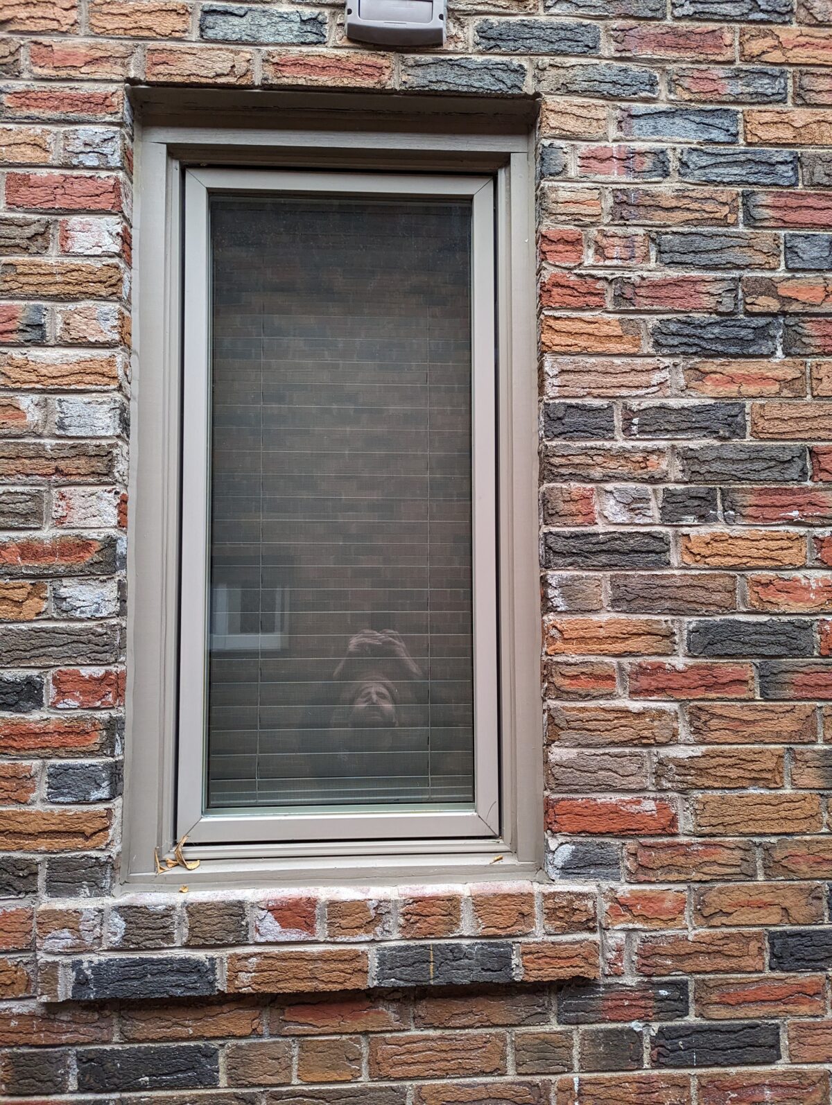 A Guide to Painting Window Frames Exterior Wood and Vinyl