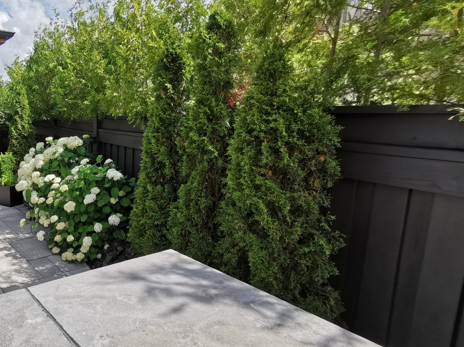 Back yard of the same house in Vaughan, after renovations. The fence is freshly stained, and the door is painted in a sleek Dark Grey by Sherwin Williams, enhancing the home's curb appeal.