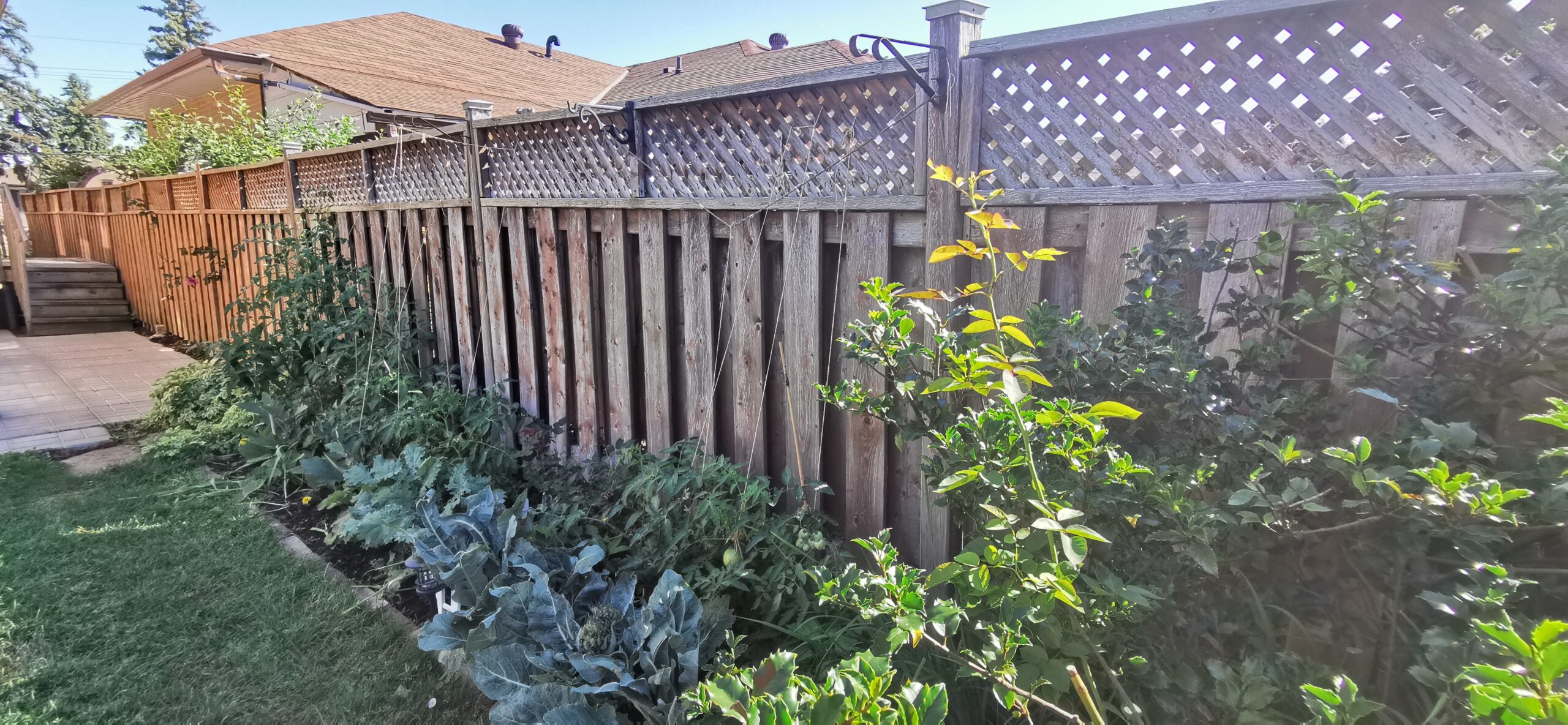 Exterior view of a house in Scarborough showing a worn, unpainted deck. The wooden deck looks weathered and in need of a fresh coat of paint.