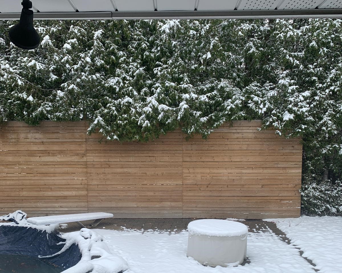Before photo of a fence in Markham with Cutek wood protection applied, showing the rich Black Ash color and enhanced natural grain of the wood.