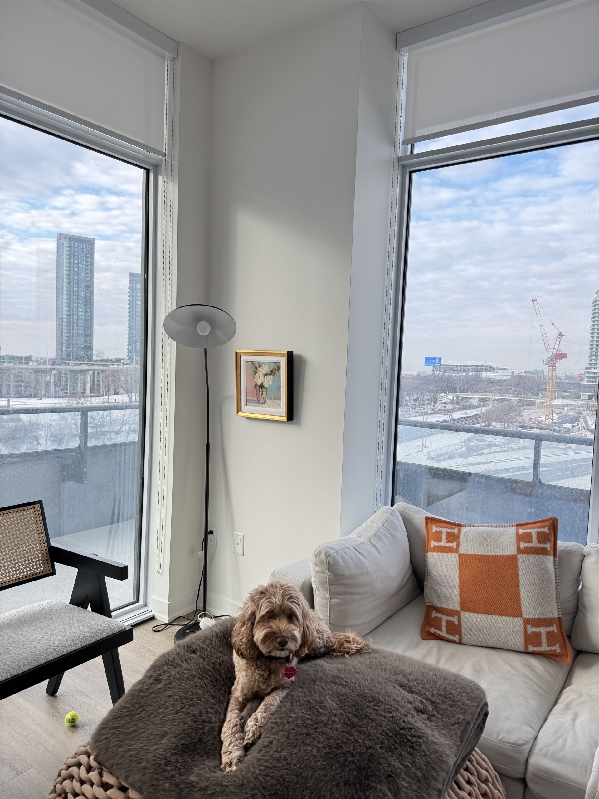 Before: Designer furniture against sage green limewashed walls in a Toronto condo.