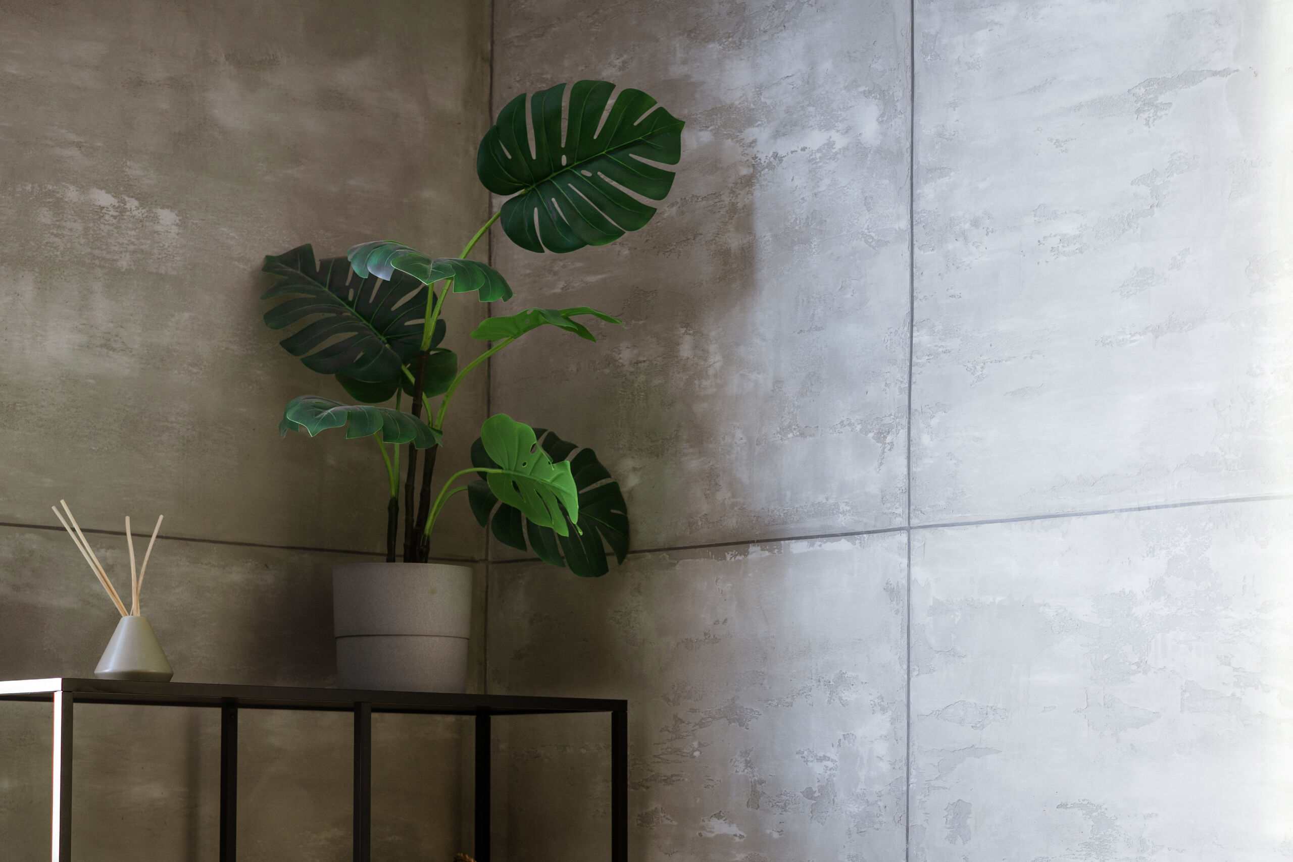 Seamless concrete effect wall finish in a modern Toronto home foyer, featuring hand-troweled cement plaster texture and minimalist architectural lighting.